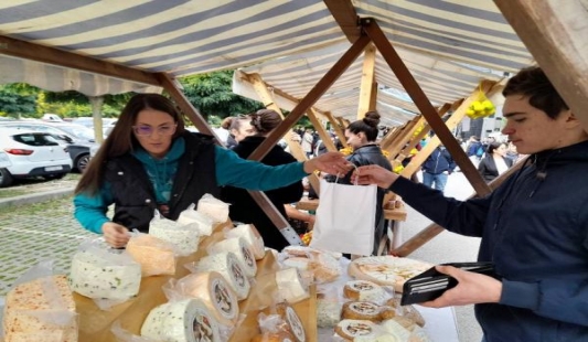 HRVATSKI SAVEZ UZGAJIVAČA OVACA I KOZA TRAŽI SNIŽAVANJE STOPE PDV-A NA SIR NA 5%