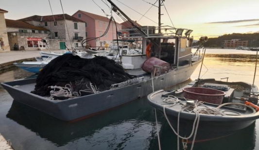 Odbor za ribarstvo Europskog parlamenta prihvatio prijedlog Zovko vrijedan 2 milijuna eura za praćenje invazivnih morskih vrsta u EU vodama