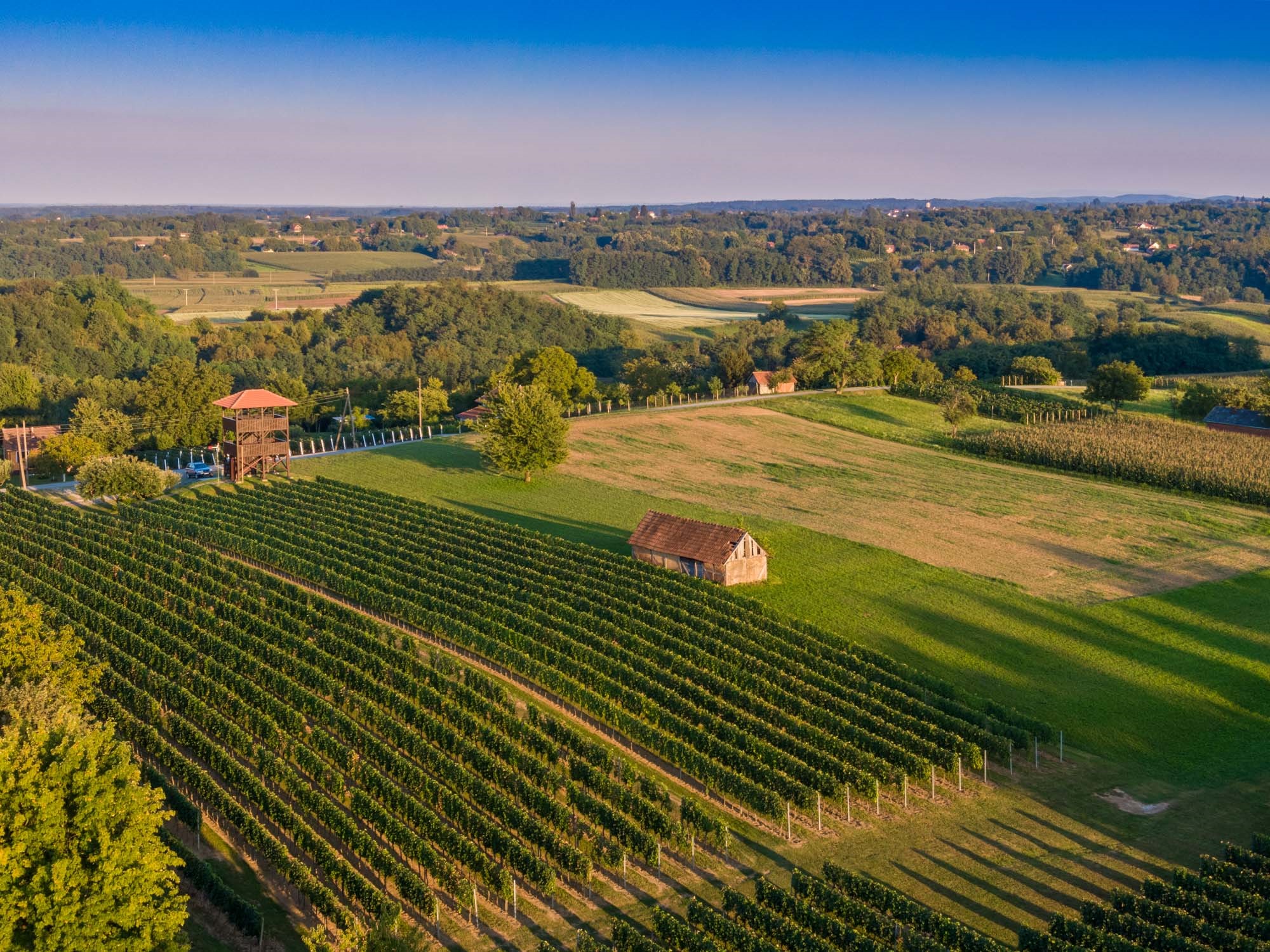 MATOČEC 24.8.20.2