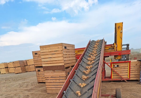 Vađenje krumpira Podravka Agri
