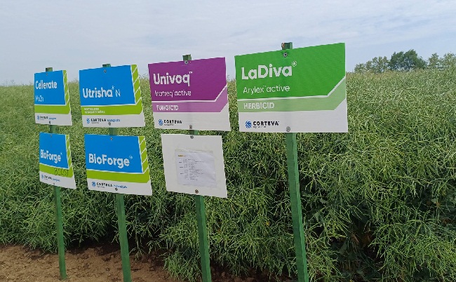 corteva12