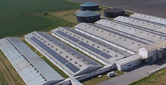 Farma Sokolovac opet u funkciji