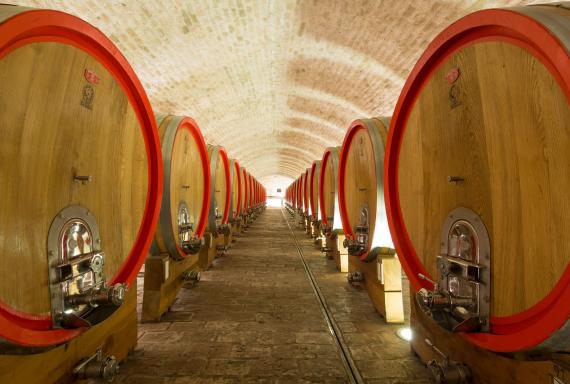 Izlazak na trži&scaron;te nagrađenih vina nove berbe